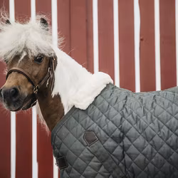 Kentucky Stablerug 160gr tiny