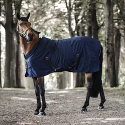 Kentucky bomullstäcke