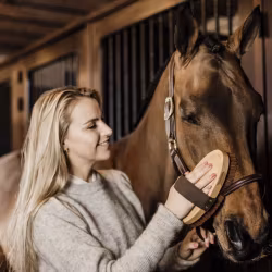 Grooming Delux Overall Brush Soft