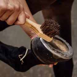 Grooming Delux Hovkrats