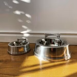 Hundmat- eller vattenskål