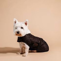 Kentucky Hundtäcke Orginal