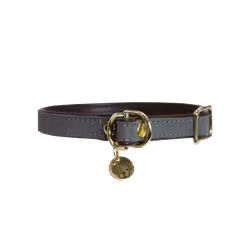 Kentucky Hundhalsband Loop