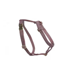 Kentucky Hundsele Loop Velvet