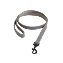 Kentucky koppel Lizard