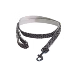 Kentucky koppel Leopard