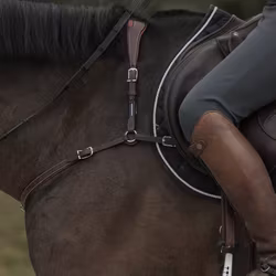 Antares Precision förbygel