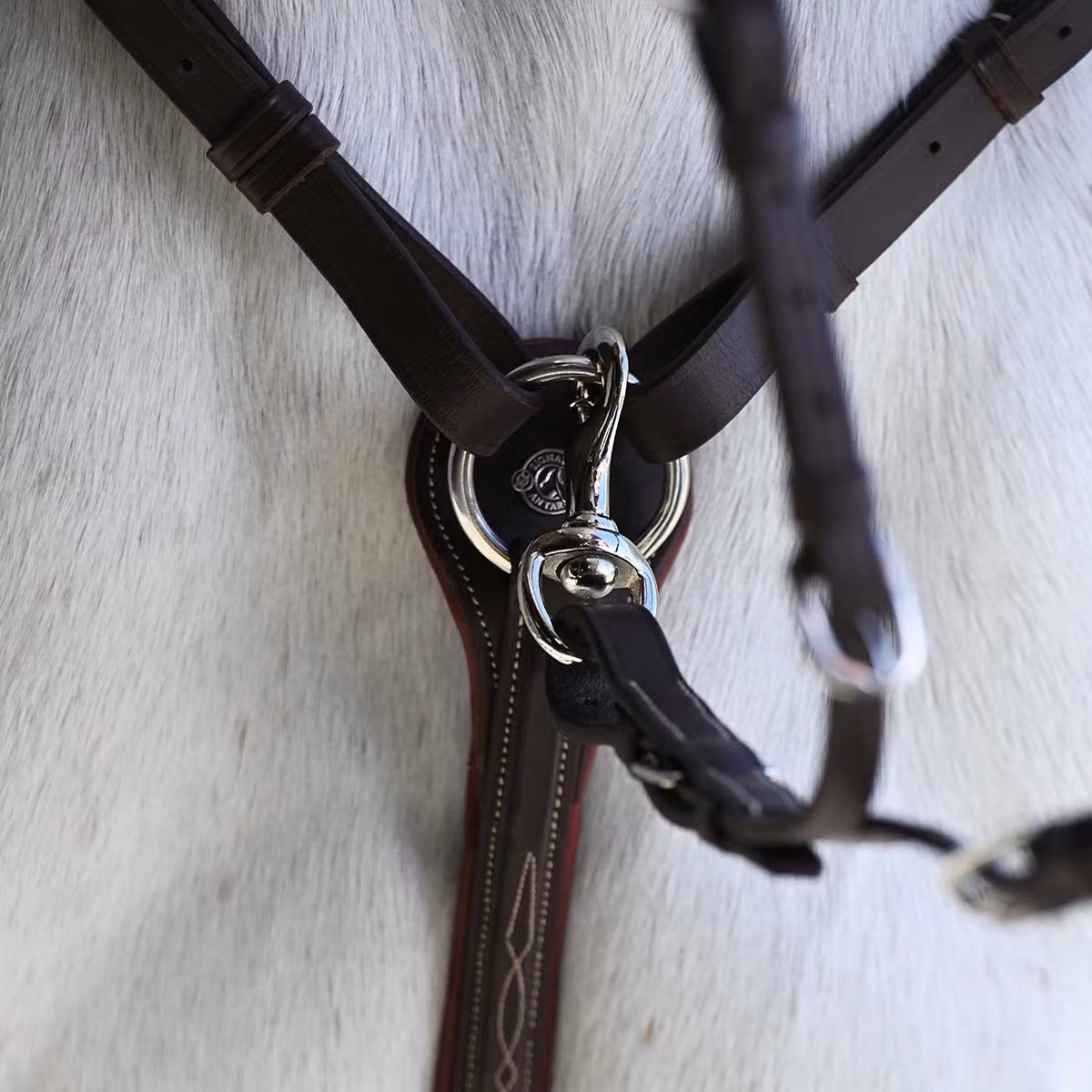 Antares Signature Förbygel