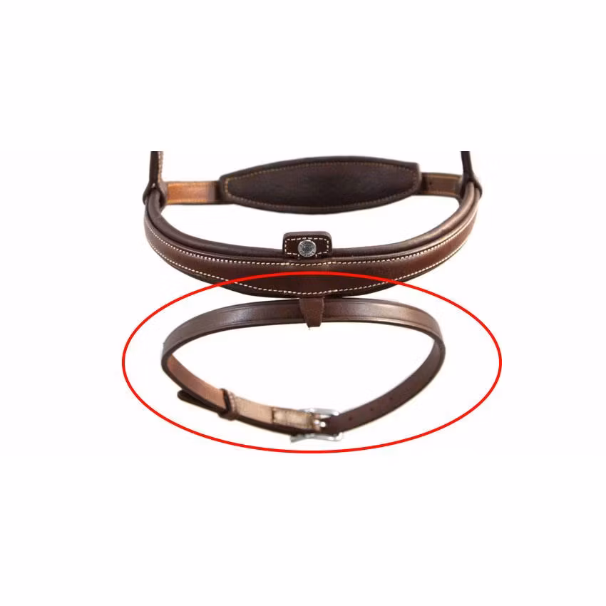 Antares undre nosrem lös