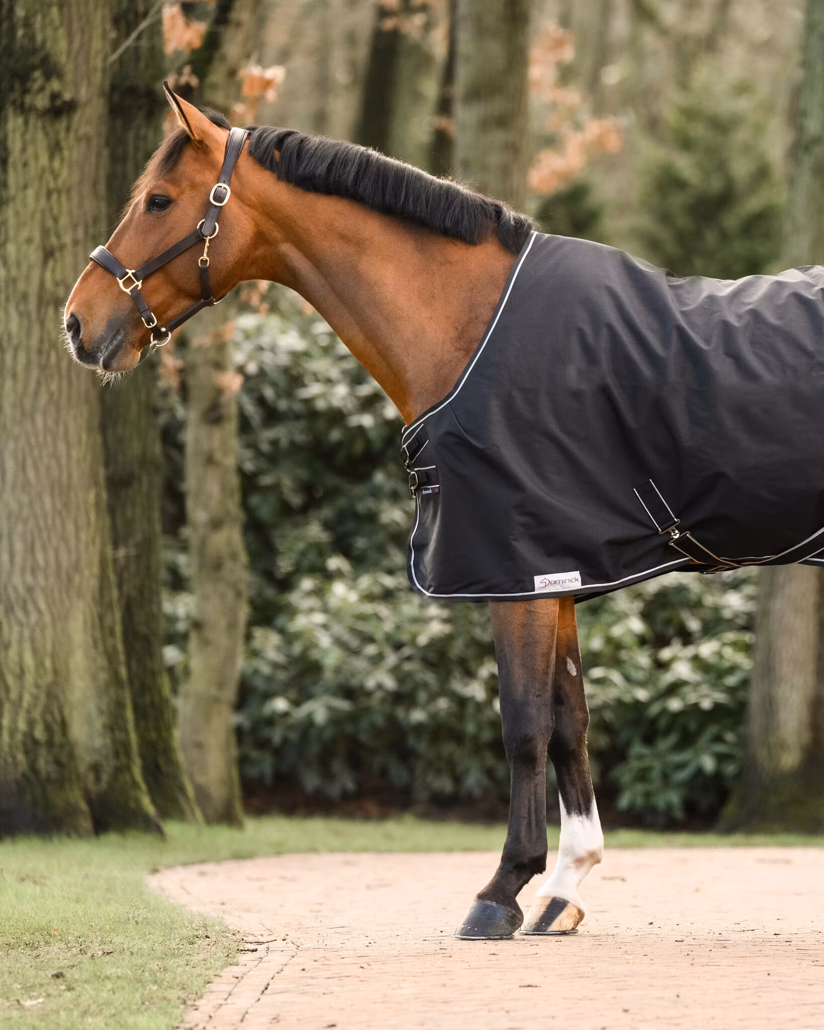 Dominick Stalltäcke 200g