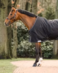 Dominick Stalltäcke 200g