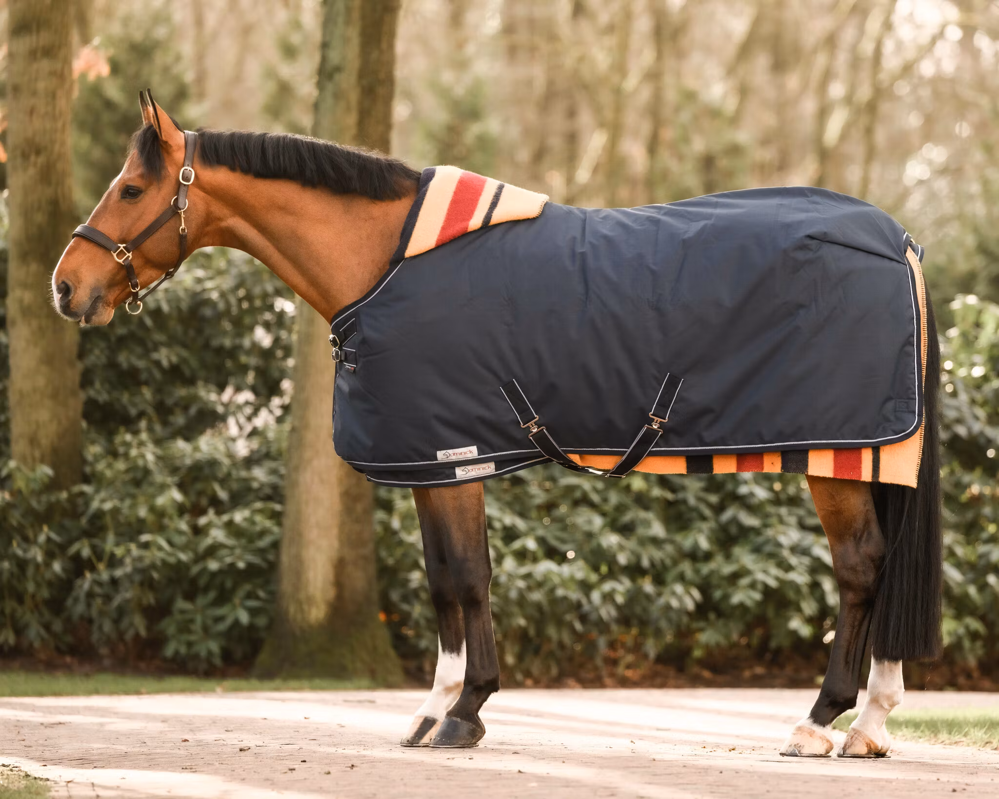 Dominick Golden Stripe Filt