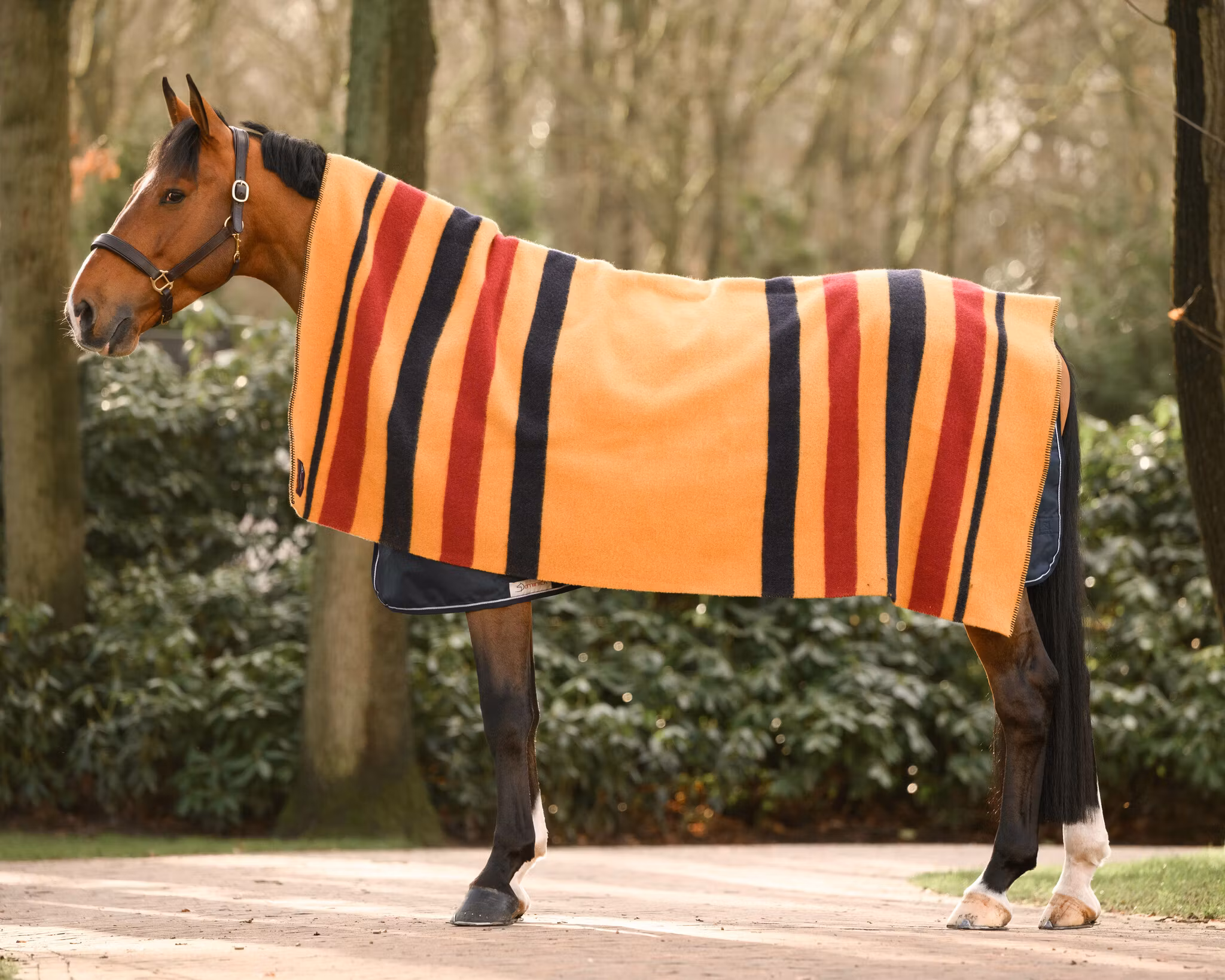 Dominick Golden Stripe Filt