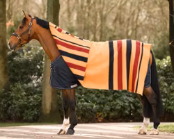 Dominick Golden Stripe Filt