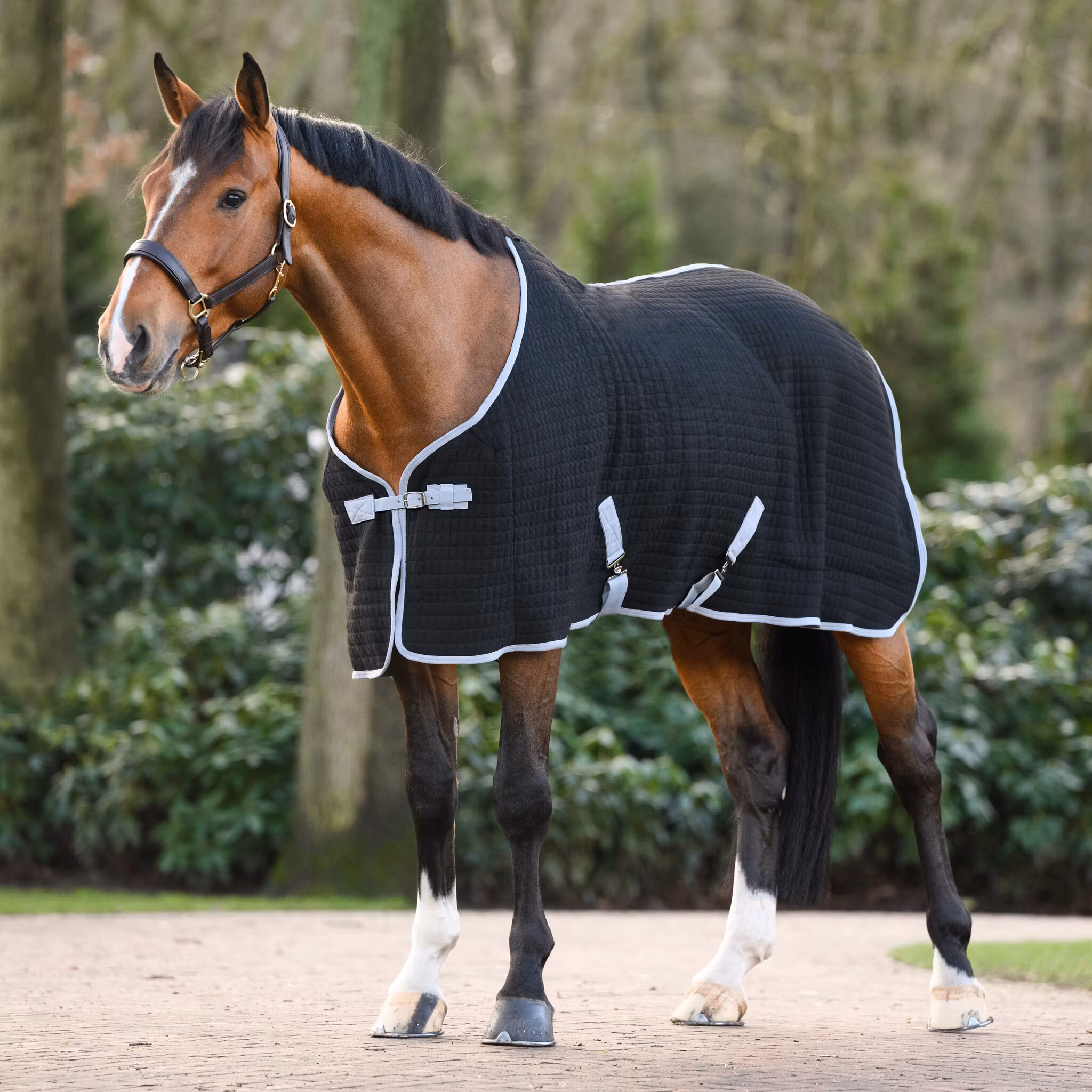 Dominick Thermo Cooler