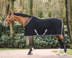 Dominick Thermo Cooler