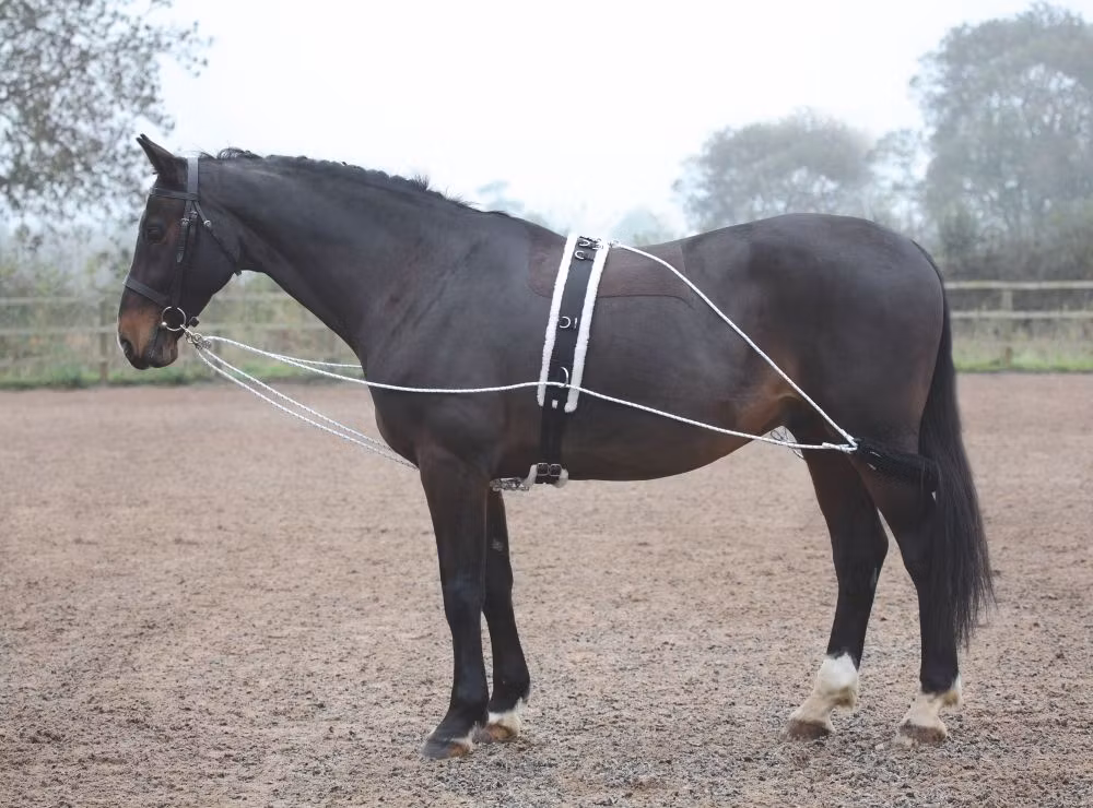 SHIRES LONGERINGSSYSTEM BLACK ONE SIZE