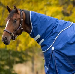 SHIRES HIGHLANDER HALS 0G