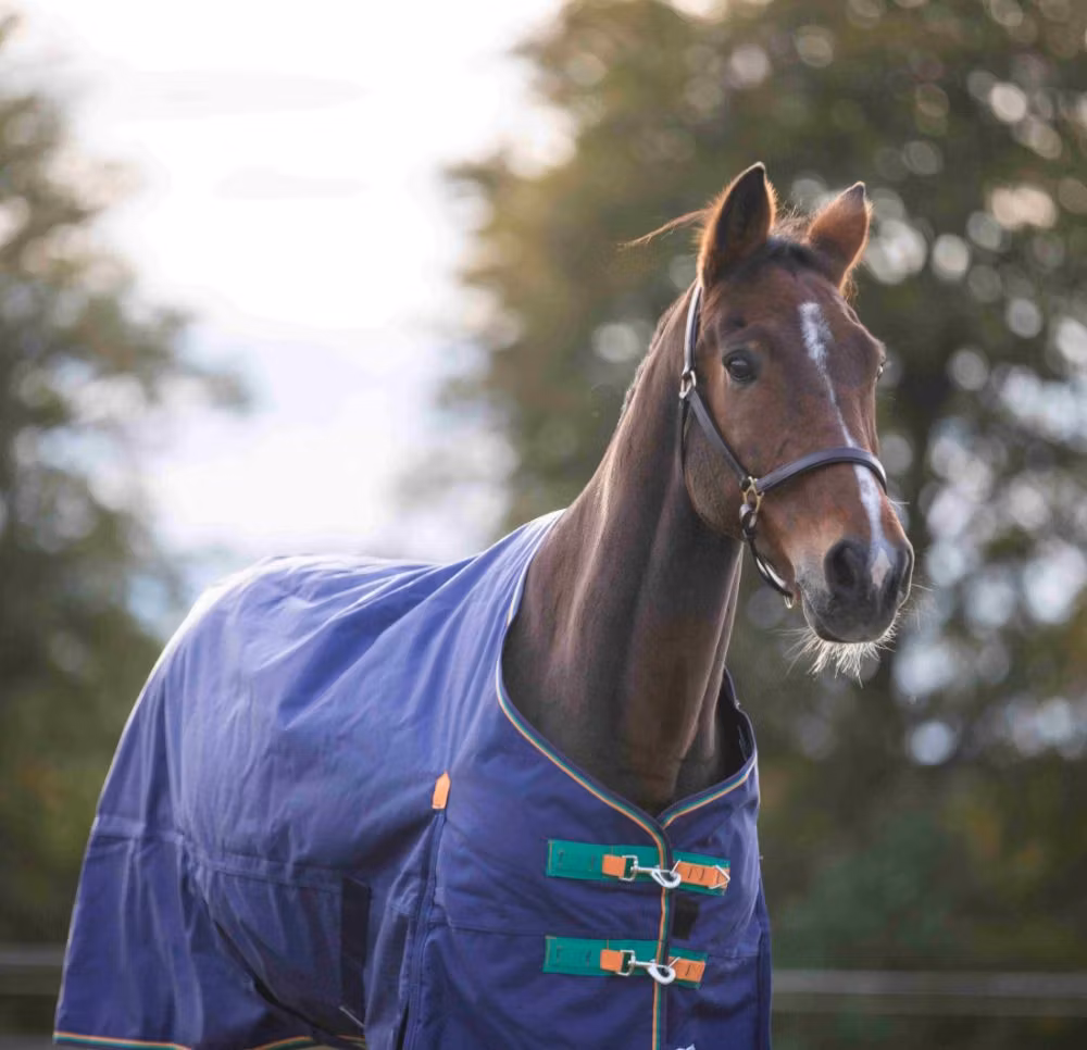 SHIRES HIGHLANDER REGNTÄCKE 50G