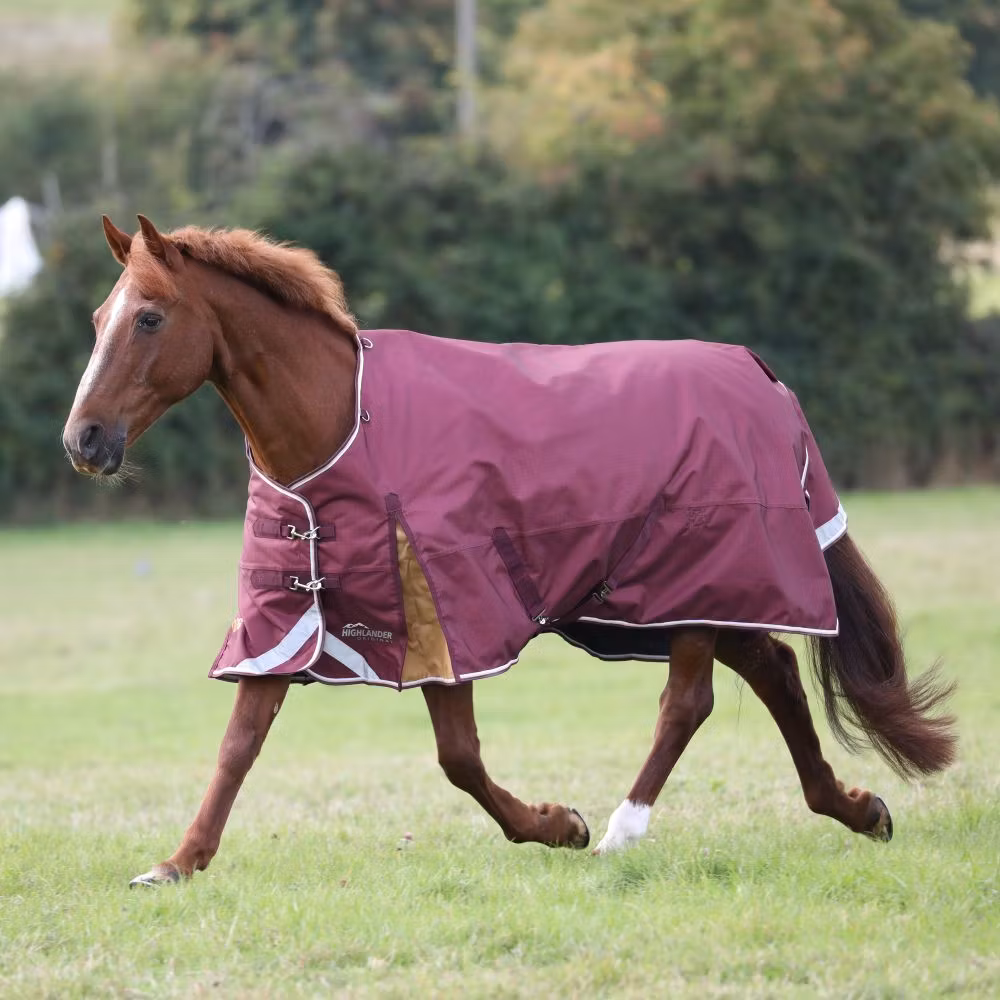 SHIRES HIGHLANDER PLUS REGNTÄCKE 100G, MAROON