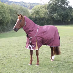 SHIRES HIGHLANDER HALS 100G