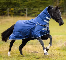 SHIRES HIGHLANDER 200G COMBO