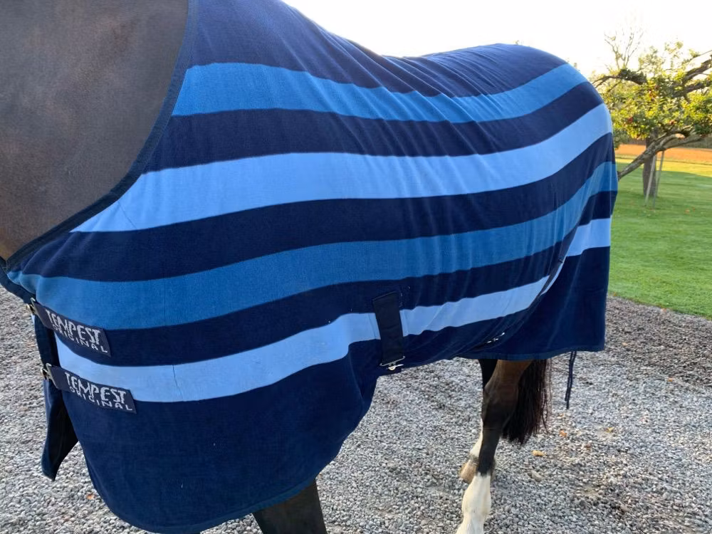 SHIRES TEMPEST NEWMARKET FLEECETÄCKE