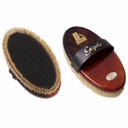 Gigolo ryktborste brunlaserad m tagel