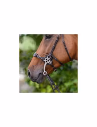 JumpIn Skydd för ponnyhackamore