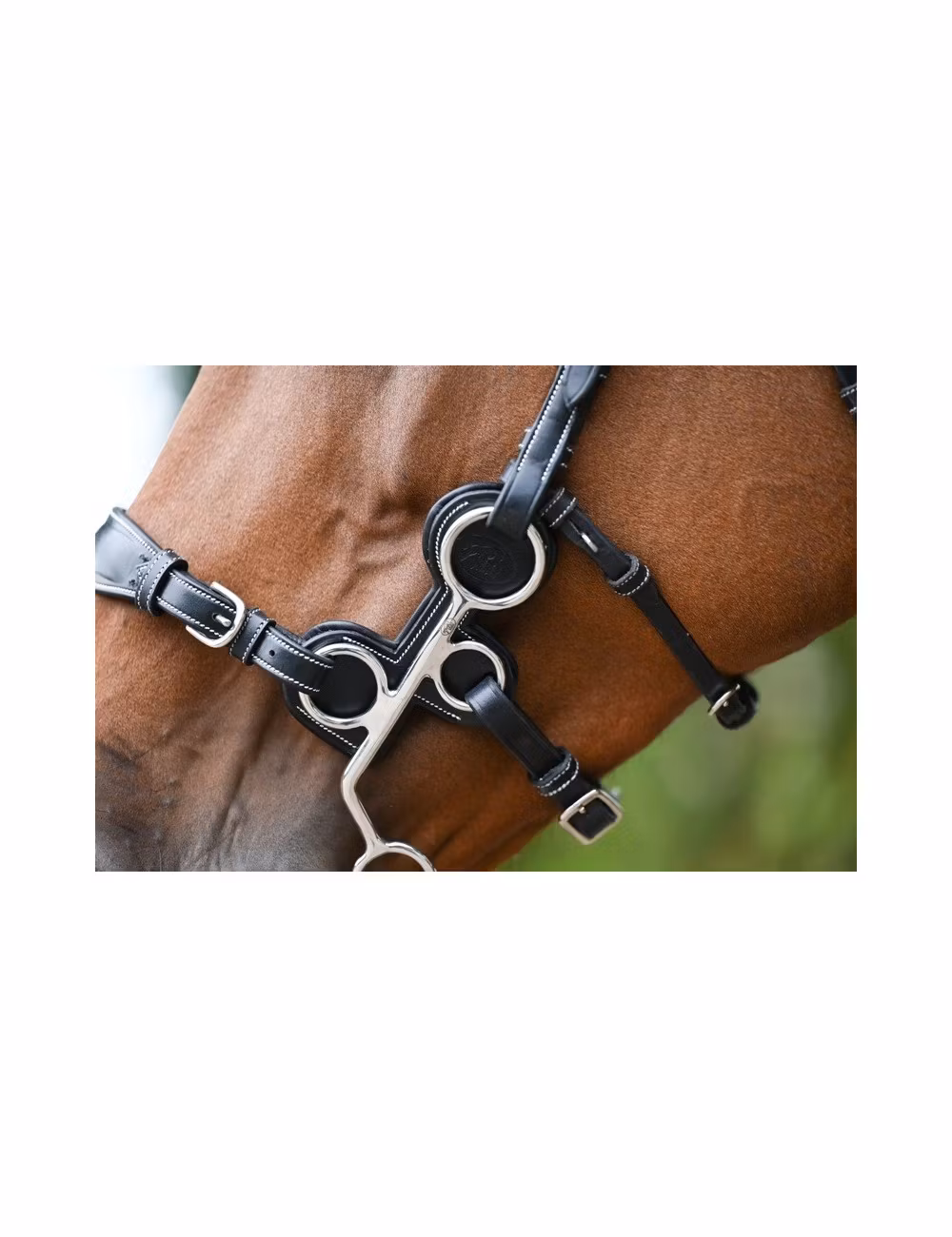 JumpIn Läderskydd för hackamore