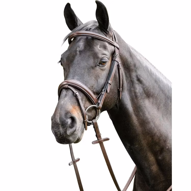 Prestige E38 Träns tripleraised komb