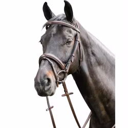 Prestige E38 Träns tripleraised komb