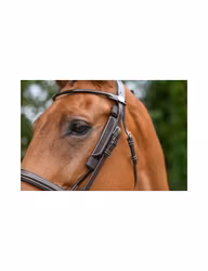 JumpIn Week Blinkers