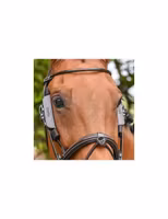 JumpIn Week Blinkers