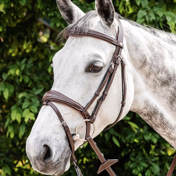 Prestige E141 Träns komb nosgr