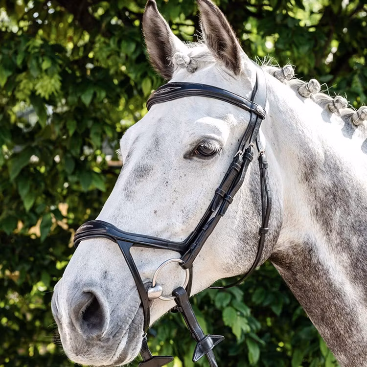 Prestige Träns remontnosgr