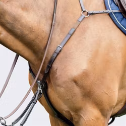 Prestige Evo bricole m sadelgjordsinf.