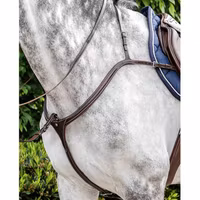 Prestige D35 Evo bricole long br m mart