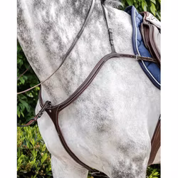 Prestige D35 Evo bricole long br m mart