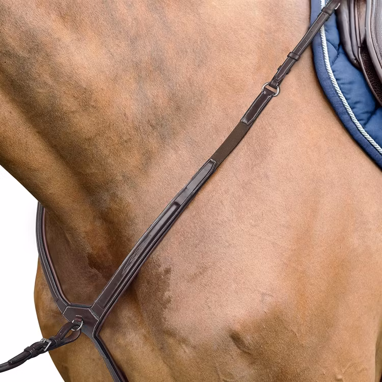 Prestige D36 Evo brösta med martingal