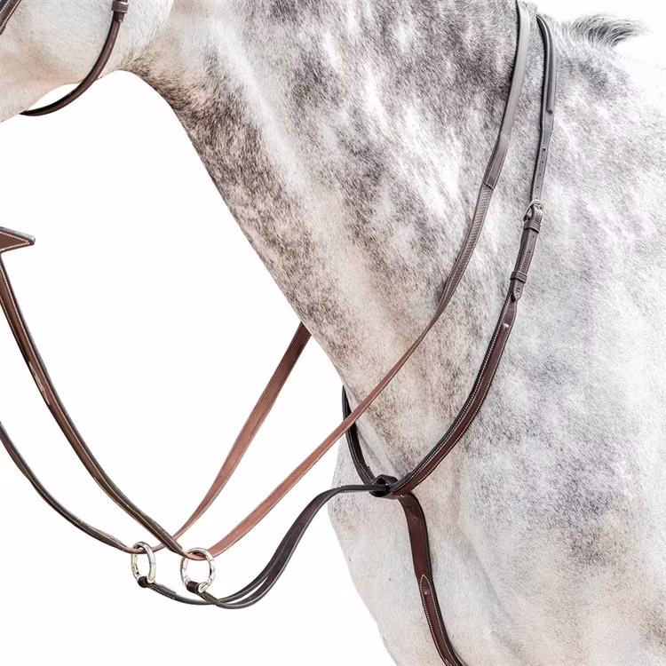 Prestige Evo martingal raised E54