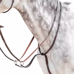 Prestige Evo martingal raised E54