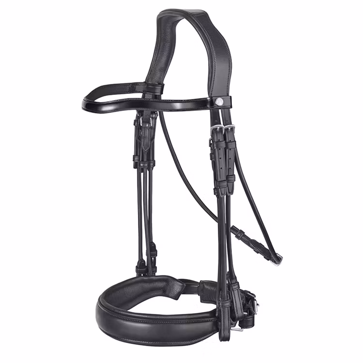 Renaissance Kandar lackpannband