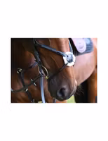 JumpIn Week Monday Nosgrimma