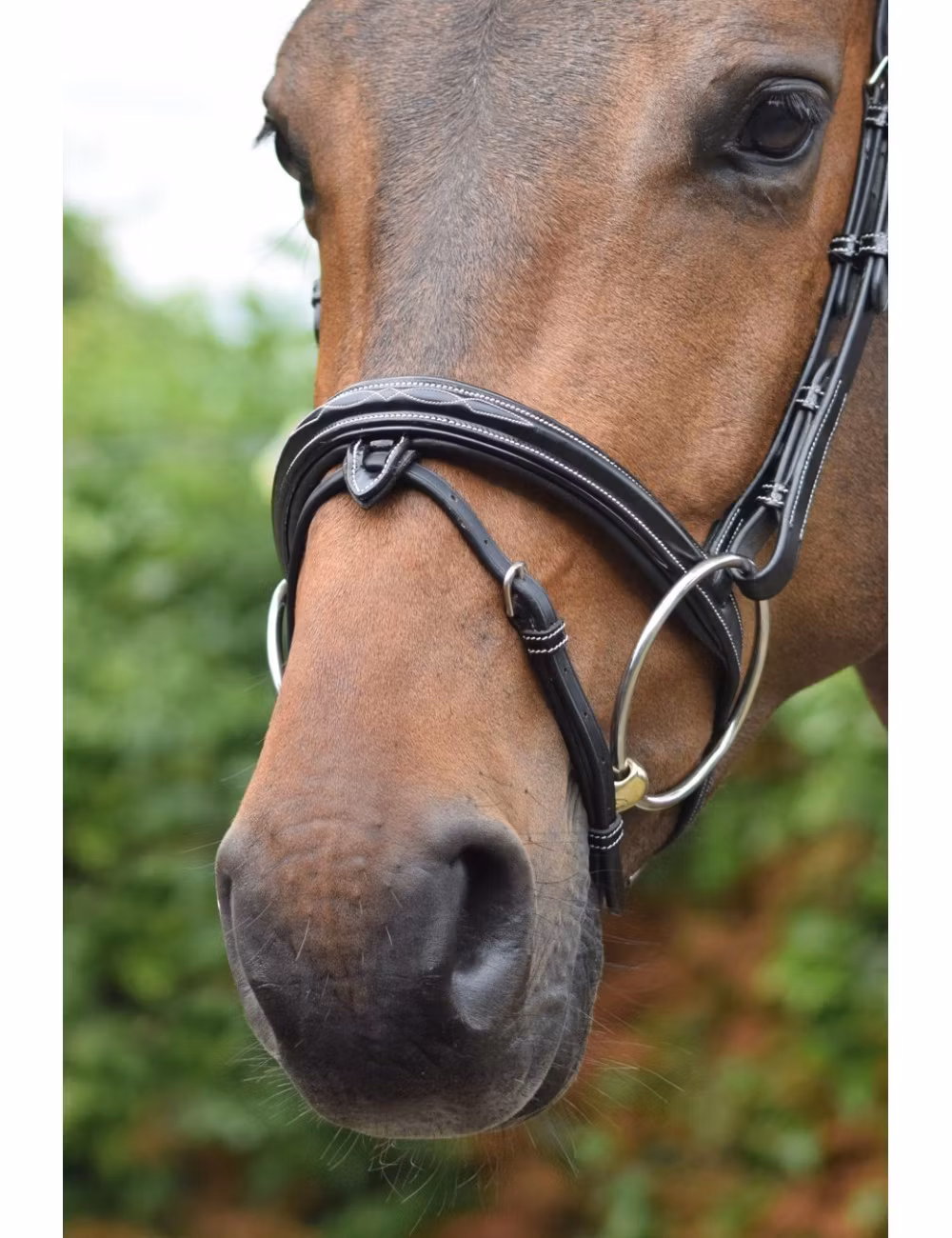 JumpIn Week Wednesday Nosgrimma