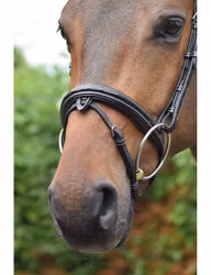 JumpIn Week Wednesday Nosgrimma