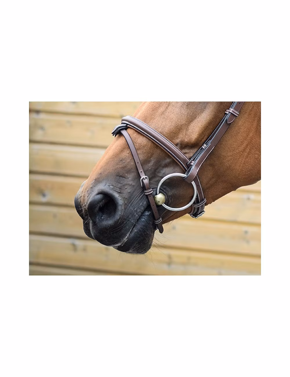 JumpIn One London Nosgrimma