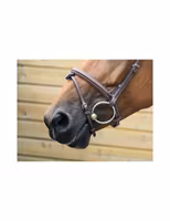 JumpIn One London Nosgrimma