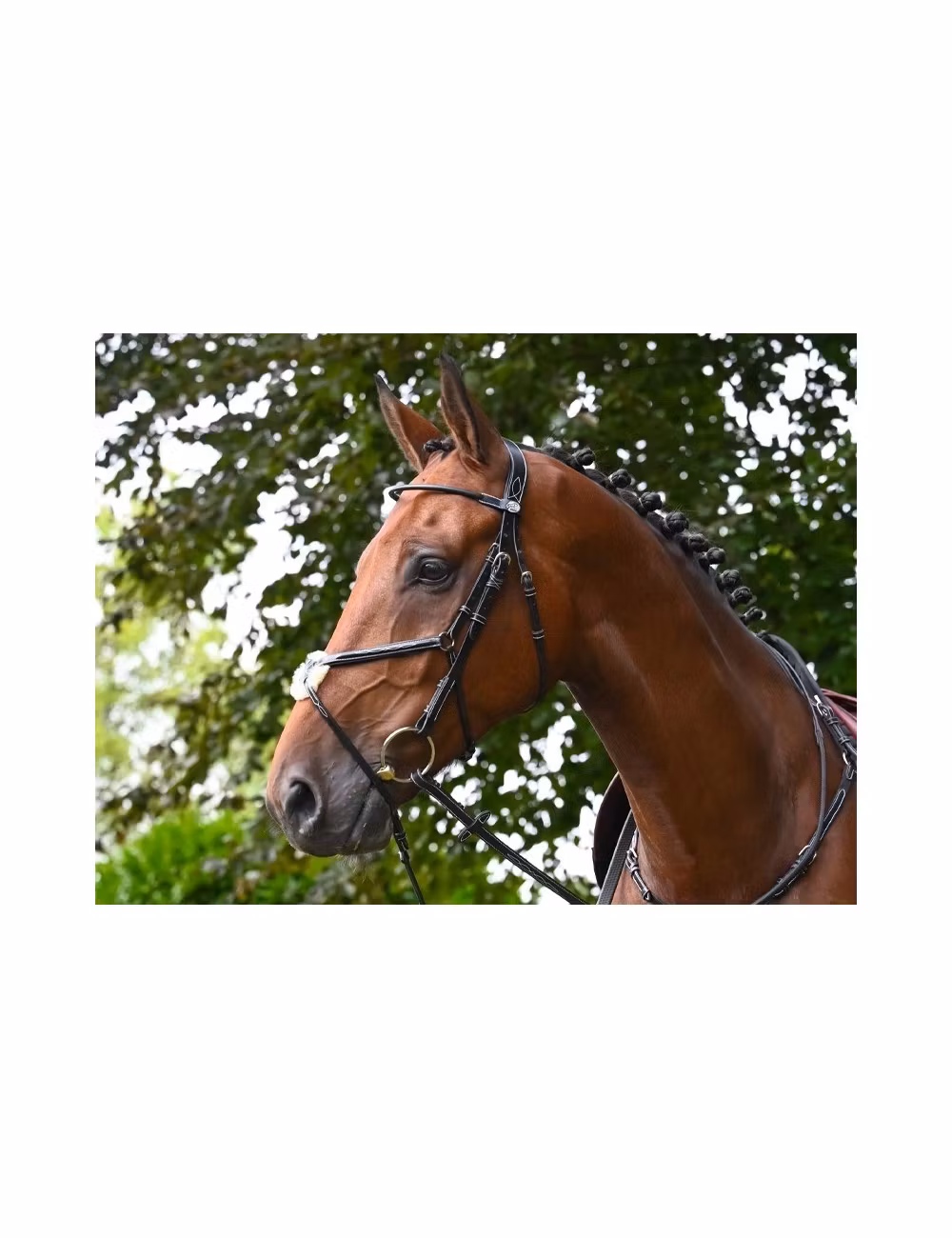 JumpIn Week Monday träns med mexikansk nosgrimma