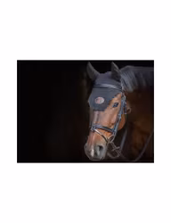 JumpIn Week Tuesday Träns med Aachennosgrimma